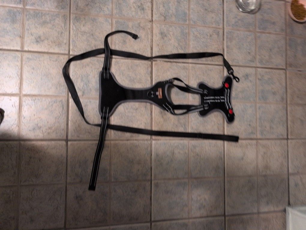 Dog Harness 