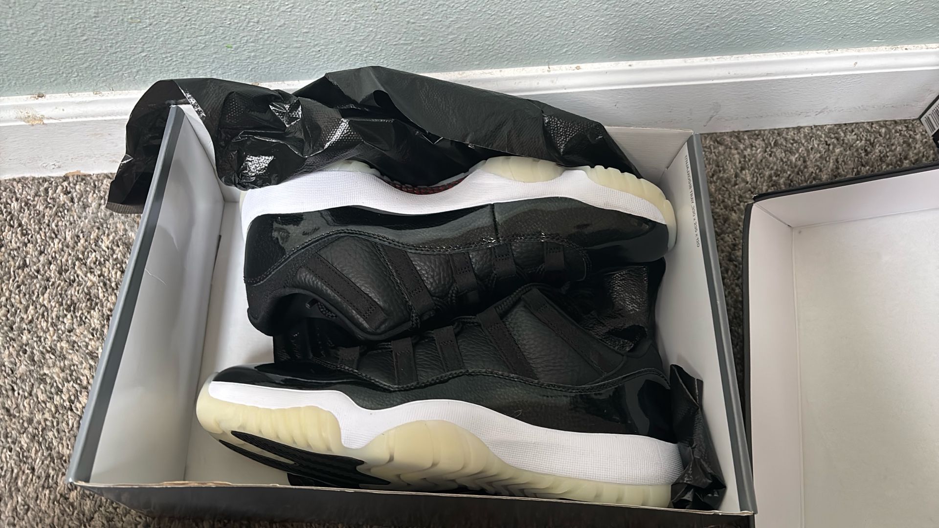 Jordan 11 Low Sz 10