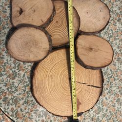 Wood Slices 