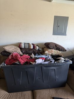 Women’s Bulk Clothing