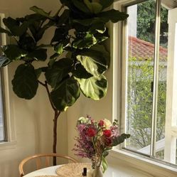 CB2 Odyssey White Tulip Table $250