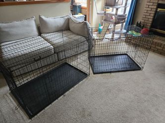 Dog Crates