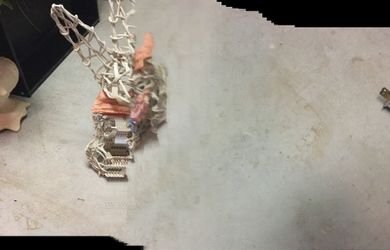 Bunny decoration