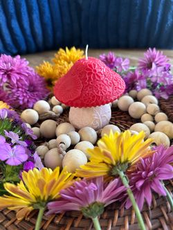 Whimsical Botanical Mushroom Candles - Handpoured! 🌸🍄