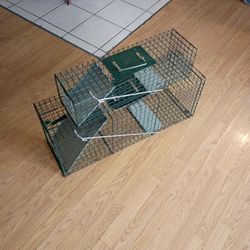 Traps Set Of 2 