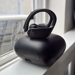 Beats Powerbeats Pro – Works Perfect – Great for Gym