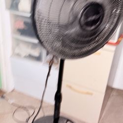 Fan