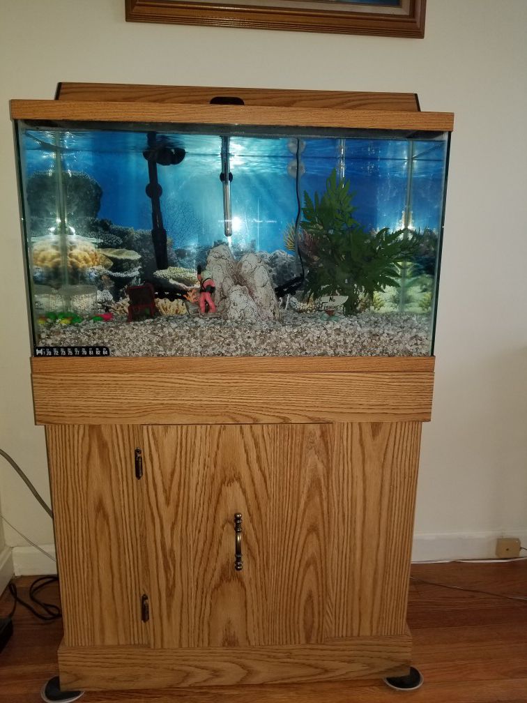 29 gallon fish tank w/ accessories