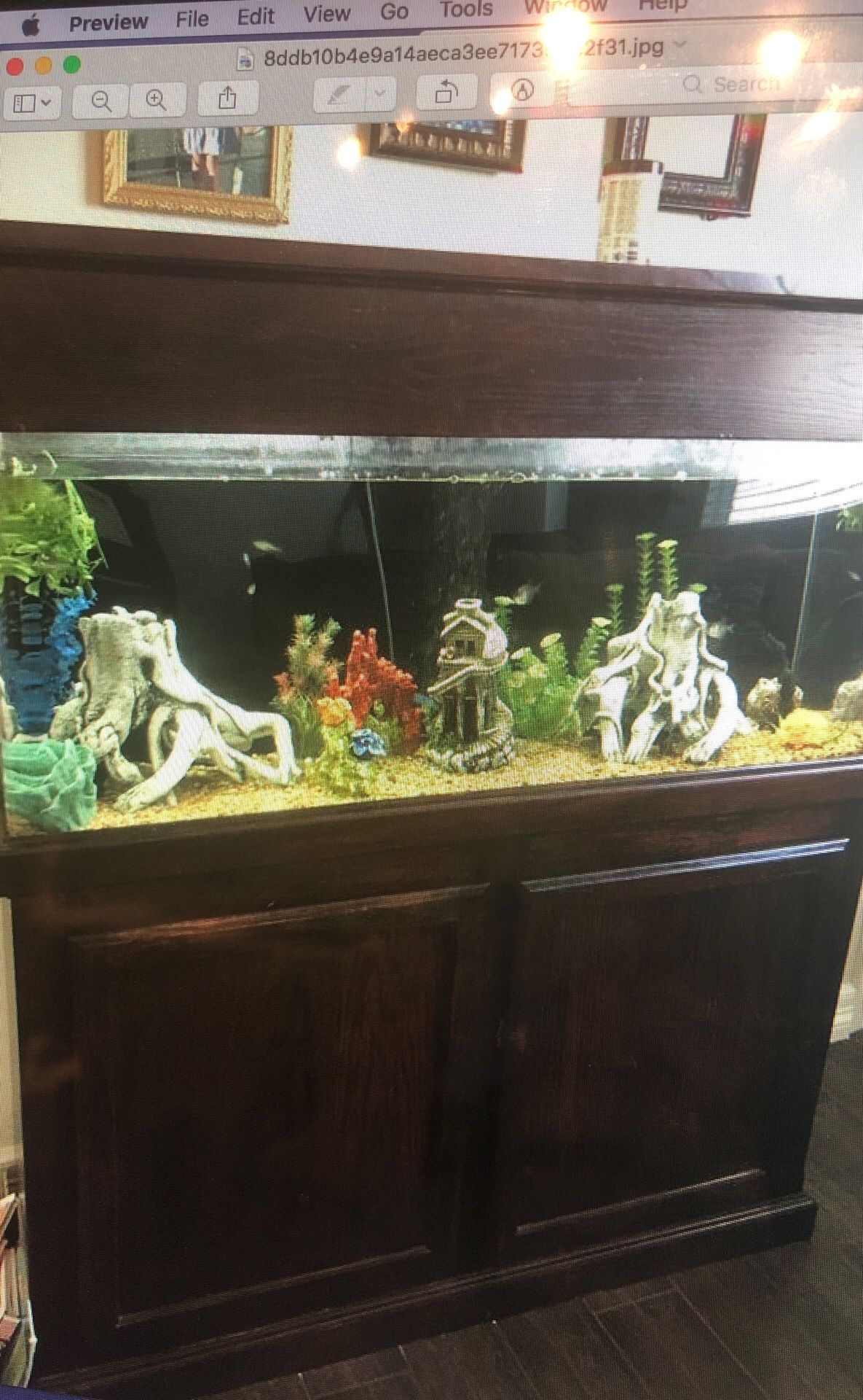 65 gallon acrylic aquarium fish tank for Sale in Chandler, AZ - OfferUp