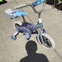 Frozen Bicycle