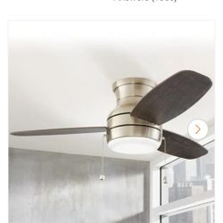 Ceiling Fans 