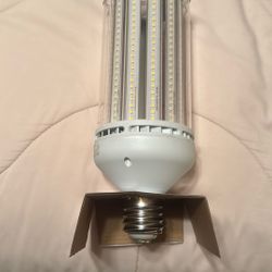 Led Outside Corn Light.