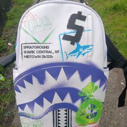 Spraygrounds Backpack
