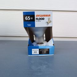 Indoor Flood Bulb