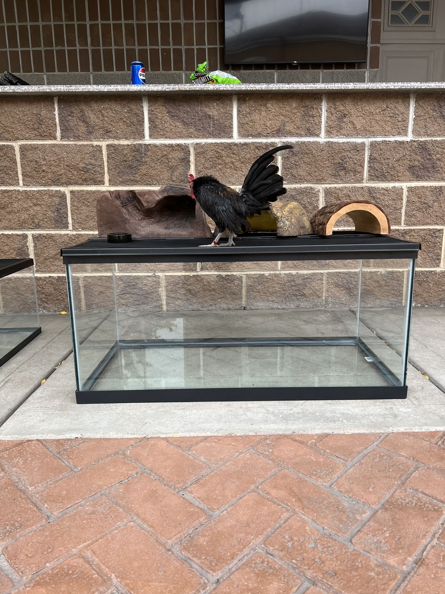Reptile Tank