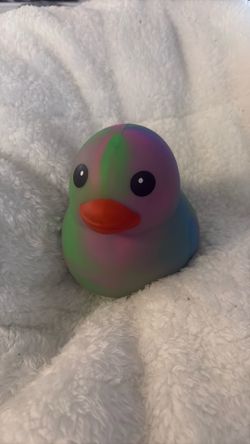 Big Duck