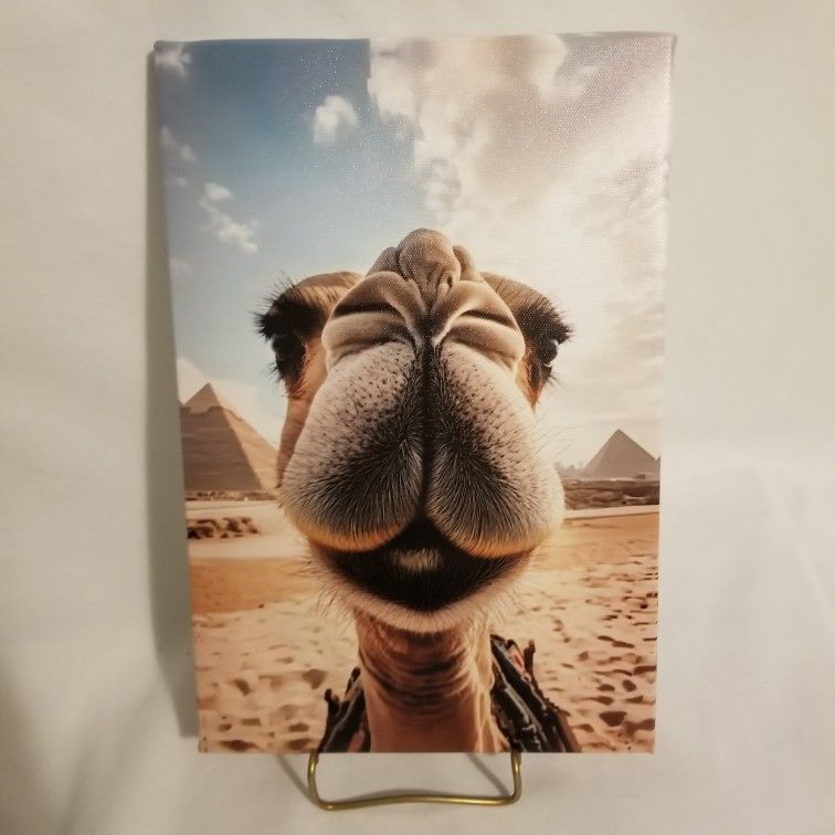 NWOT Camel Wall Art - Photo printed Vinyl Canvas