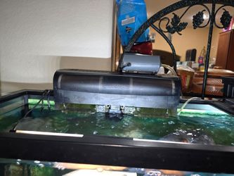 Selling to aquariums due to moving out of the country