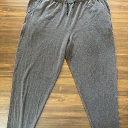 Eileen Fisher Cropped Trousers Pants Women’s L Grey Tencel Elastic Activewear