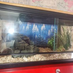 About 20gal Reptile Cage