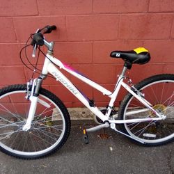 Nishski Mountain Ladies Bike