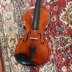 New 4/4 violin 