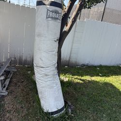 Pro Last Punching Bag