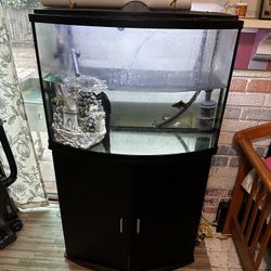 36 Gallon Fish Tank