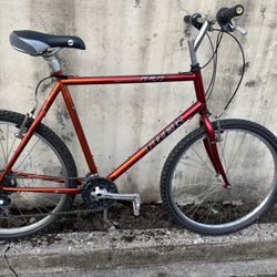 Trek 820