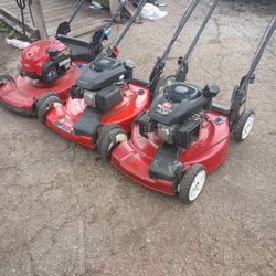 3makinas Toro Nesesitan Trabajo 