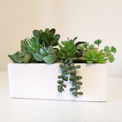 Potted Faux Succulent Plants 