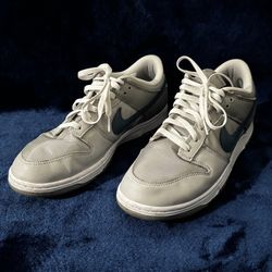 Nike Dunk Low "Silver Surfer" 2024 - Size 10.5