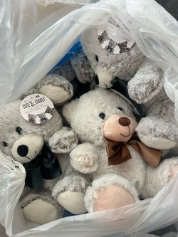 Cute & Cuddly Teddy Bear Plush Lot