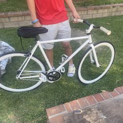 Great Bike