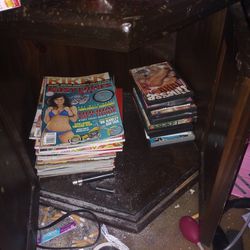 Adult Movie And DVD Collection 