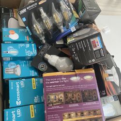 A Full Box Of Light Bulbs