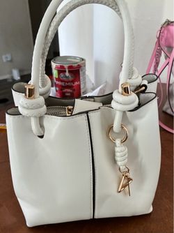 Aldo Purse