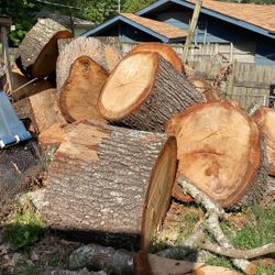 Come Pick Up Your Log For A Center Table Or Dinning Room Table.  