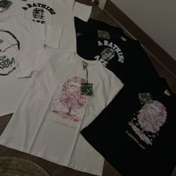 Bape T 