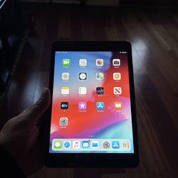 iPad Mini 2
