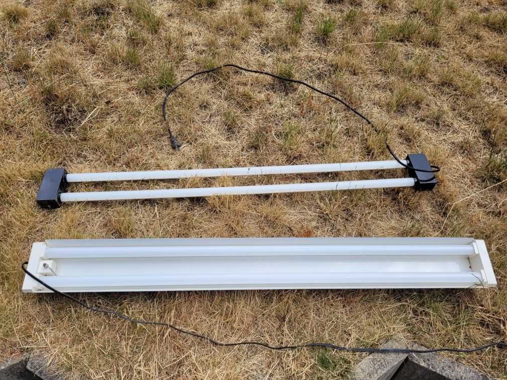 Shop Lights Free