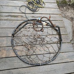 Crab Ring 