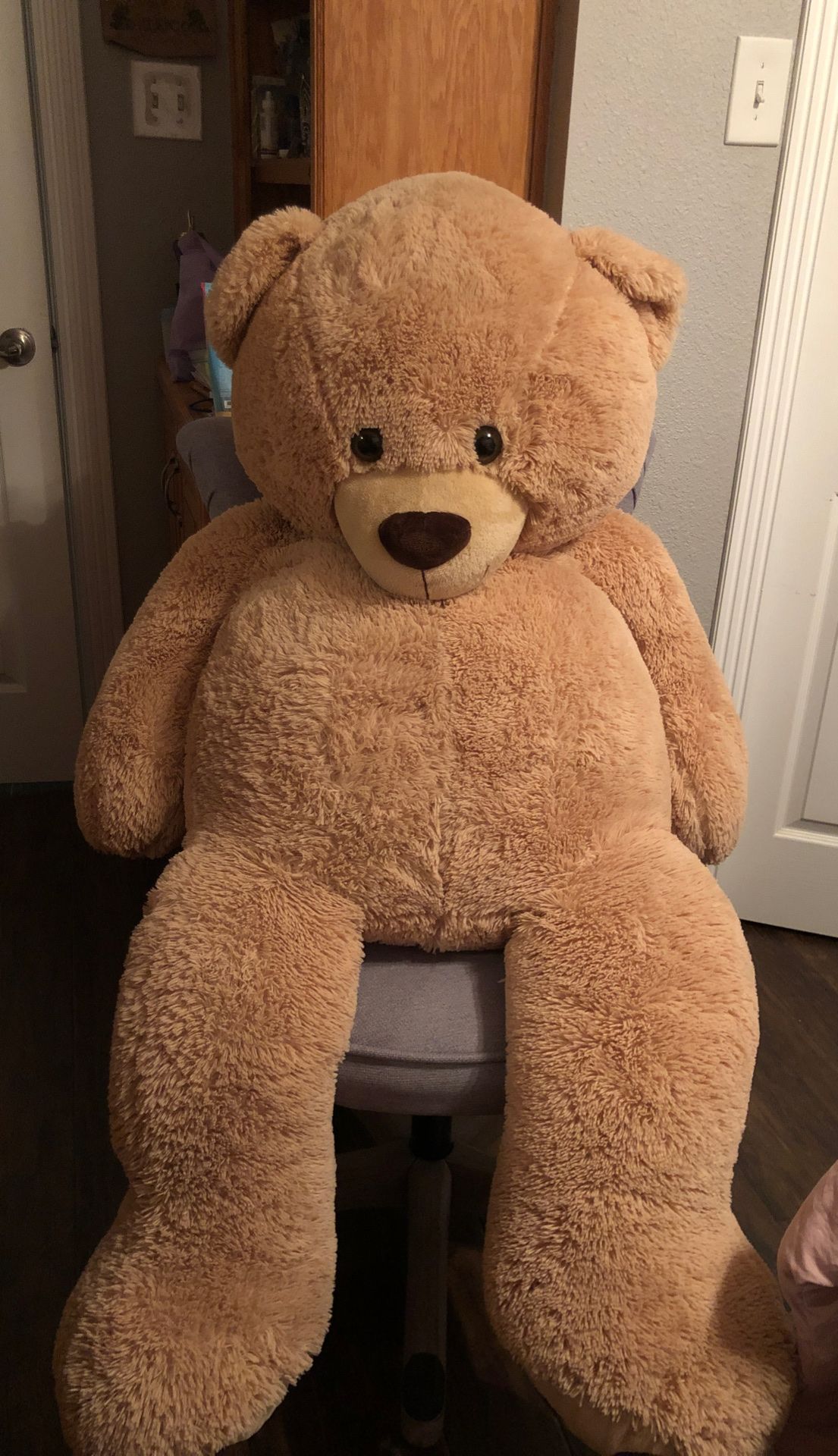 Giant Teddy Bear