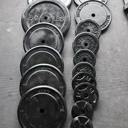 305 LB Standard Weight set