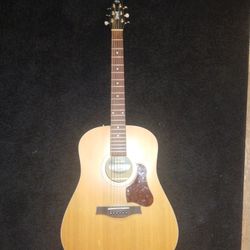 Seagull acoustic Guitar