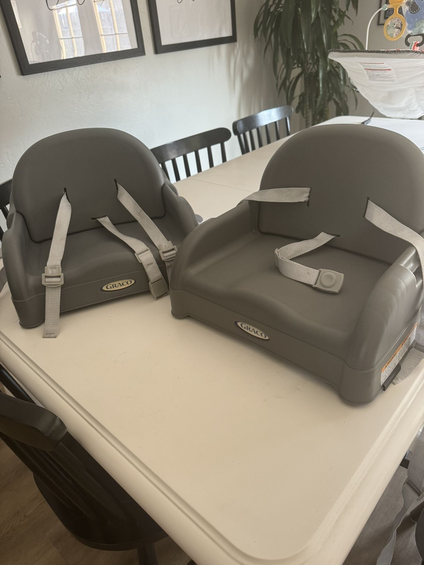 Graco Booster Chair / High Chair 