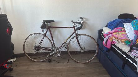 Nishiki Bike Marina 12