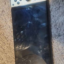 Zelda Switch