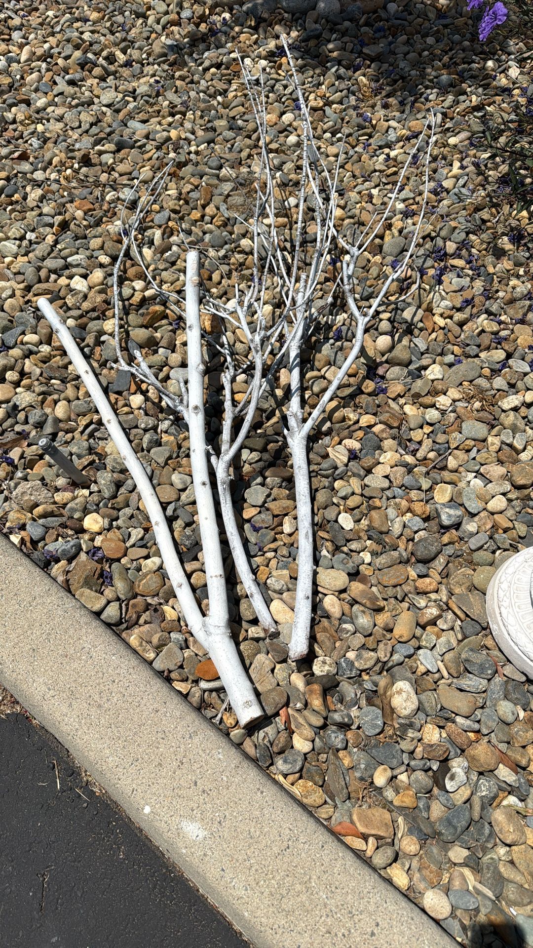 Decoration branch