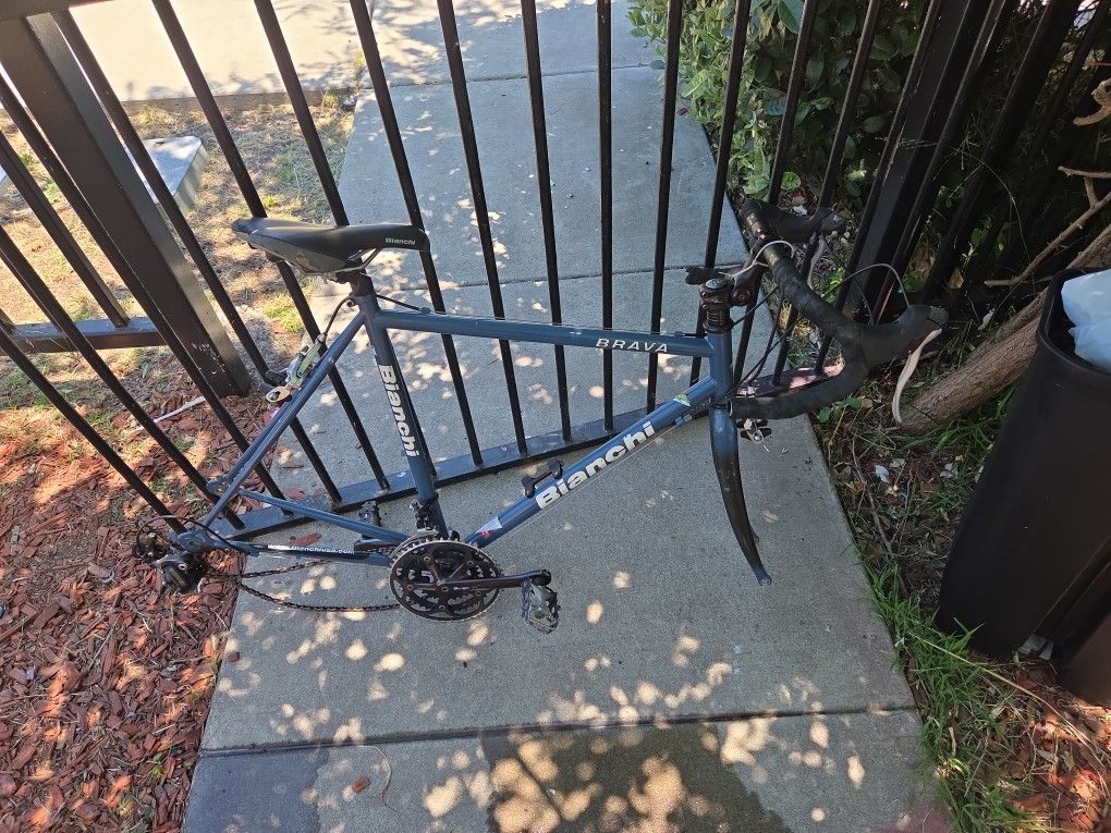 Bianchi Roadbike Frame $60